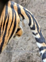 �싅�I�茠���