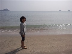 4�N�����޳��