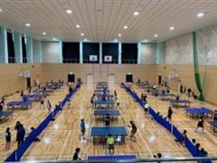 �싅�I�茠���