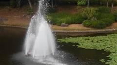 ���[��������