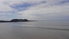 �΋��C������