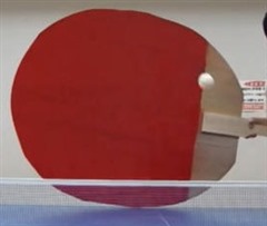 ����׹��